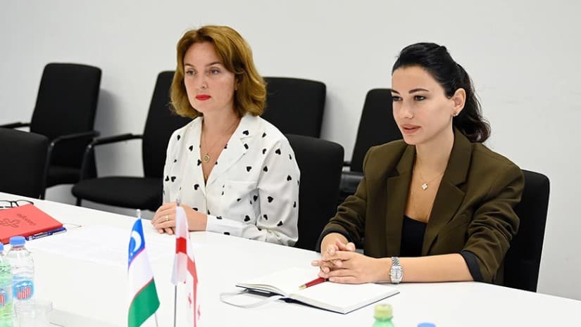 "ძალიან ბევრი ვიმუშავეთ, რომ [ტურიზმში] დანაკარგები II კვარტალშივე მინიმუმამდე დაგვეყვანა" - მაია ომიაძე