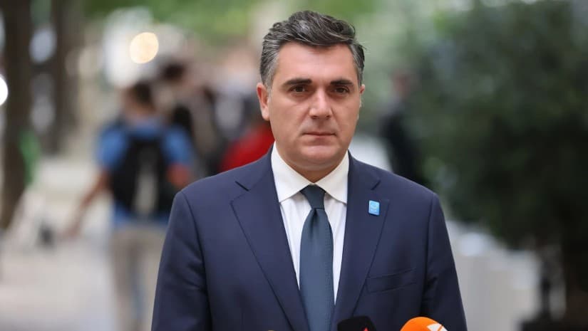 რა ქონებას ფლობს ექსსაგარეო საქმეთა მინისტრი, დღეს ელჩი ილია დარჩიაშვილი?