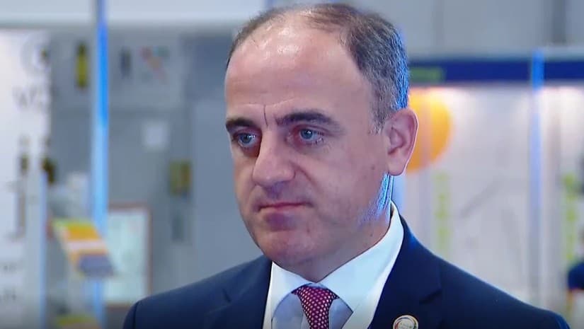 დენის სისტემურ გათიშვებზე დასკვნის მომზადებას უახლოეს მომავალში მოვრჩებით - დავით ნარმანია
