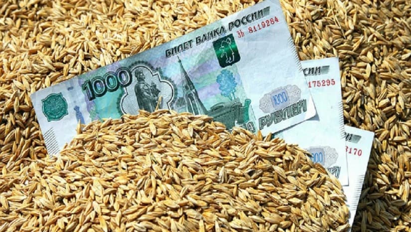 რუსეთი ხორბლის საექსპორტო ბაჟის გაუქმებას გეგმავს - რუსული მედია