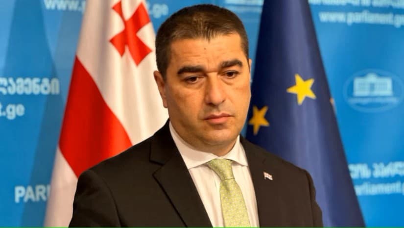 „იმედგაცრუებული ვარ ჰერჩინსკის ქცევით... ვის რაში სჭირდება მისი დამტვრეული ქართული" - პაპუაშვილი