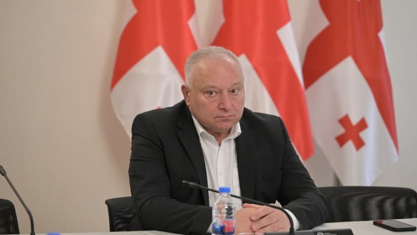 „ნანა ყეინიშვილთან კავშირში არ არის“ - რატომ იღებს უმრავლესობა სებ-ის კანონში ცვლილებებს დაჩქარებულად?