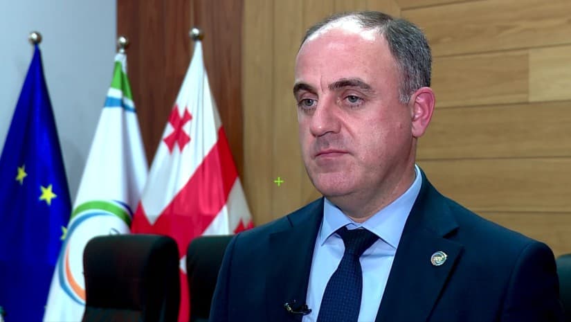 "ტარიფზეც გარკვეული შვება იქნება" - დავით ნარმანია მესტიის გამრიცხველიანებაზე