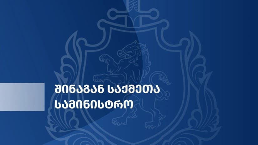 შსს-მ გელა მთივლიშვილზე თავდასხმის ფაქტზე გამოძიება ძალადობის მუხლით დაიწყო
