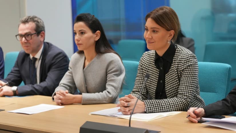 ჩინური ბაზარი საქართველოთი ძალიან დაინტერესებულია და ჩვენც არ ვაკლებთ შესაბამის ძალისხმევას - თამარ იოსელიანი