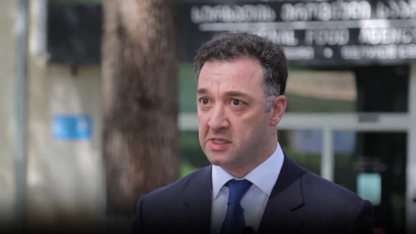 "სტიქია მასშტაბურია" - დავით სონღულაშვილი თელავშია