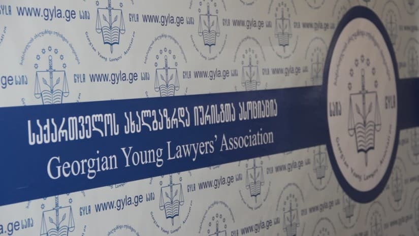 როგორ აზიანებს "პერსონიფიცირებული კანონშემოქმედება" ქვეყნის განვითარებას|საიას ანალიზი