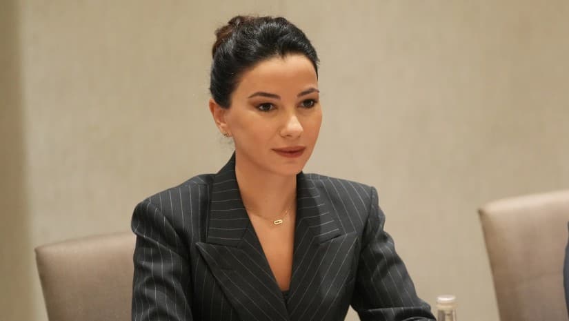 მთავრობა ორიენტირებულია გამჭვირვალე და ინვესტორებისთვის ხელსაყრელი მარეგულირებელი ჩარჩოს შენარჩუნებაზე - ქვრივიშვილი