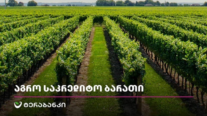 ტერაბანკის საკრედიტო ბარათი აგრო ბიზნესისთვის