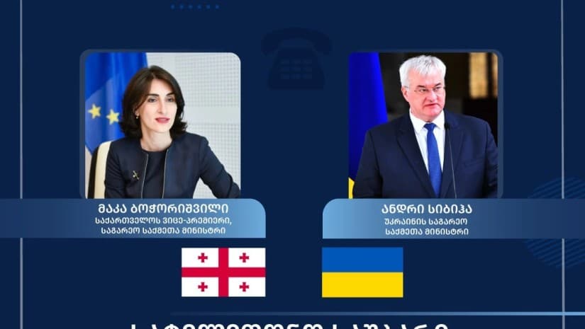 მაკა ბოჭორიშვილი უკრაინის საგარეო საქმეთა მინისტრს ესაუბრა