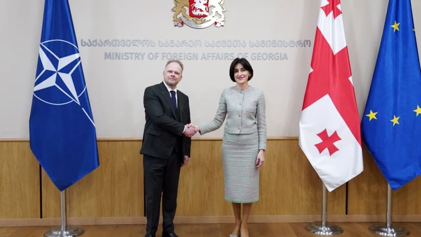მაკა ბოჭორიშვილი კავკასიასა და ცენტრალურ აზიაში ნატო-ს გენმდივნის სპეც. წარმომადგენელს შეხვდა