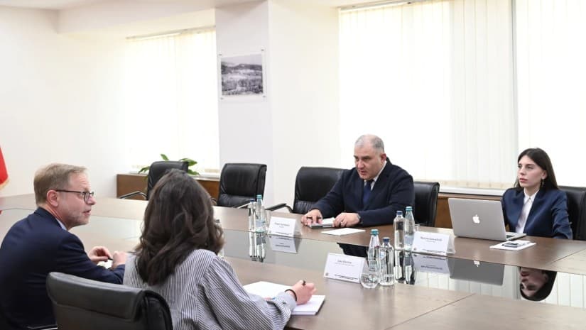 მიხეილ სარჯველაძე საფრანგეთის ელჩს შეხვდა - რაზე ისაუბრეს