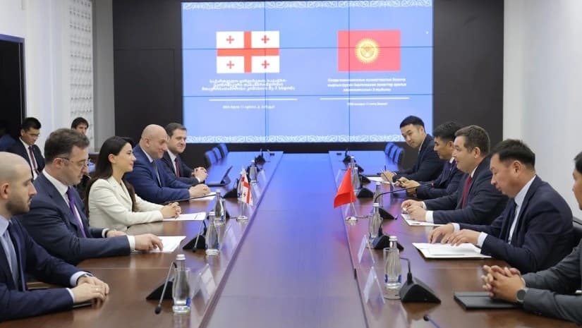 ქართული მხარე მზადაა ყირგიზეთში ექსპორტის მოცულობა გაზარდოს - ეკონომიკის სამინისტრო