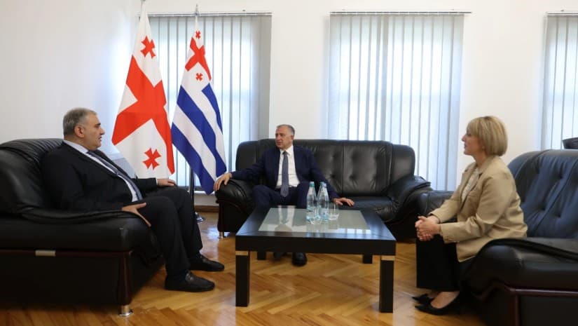 მიხეილ სარჯველაძე აჭარის მთავრობის თავმჯდომარეს და ჯანდაცვის მინისტრს შეხვდა - რა განიხილეს?