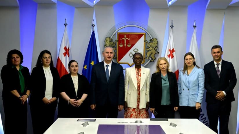 საბანკო რეზოლუციის ჩარჩო ერთ-ერთი სამაგალითოა - ნათია თურნავა