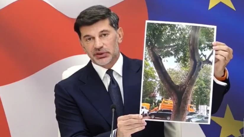 „თავისუფლების მოედანზე ერთადერთი ხე მოიჭრა“ - კალაძე რუსთაველზე ხეების მასიურ ჭრას უარყოფს