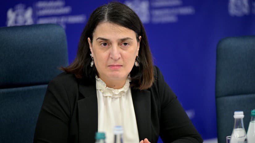 სებ-ის პოლიტიკა ყოველთვის მიმართულია რეზერვების დაგროვებისკენ - ეკატერინე მიქაბაძე
