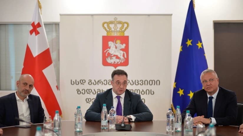 გარემოს ზედამხედველობის დეპარტამენტის უფროსად შემოსავლების სამსახურის ყოფილი მაღალჩინოსანი დაინიშნა