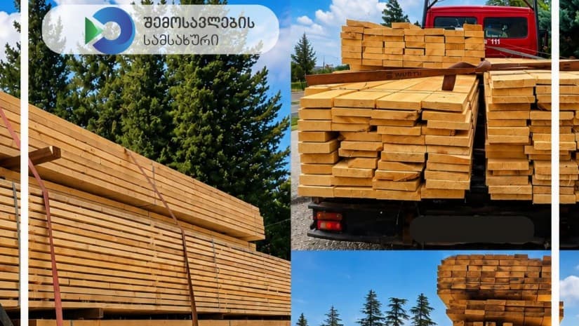 7 თვეში ხე-მცენარეებისა და ხე-ტყის უკანონოდ ტრანსპორტირებისთვის ₾291 800-ის ჯარიმა გამოიწერა - RS