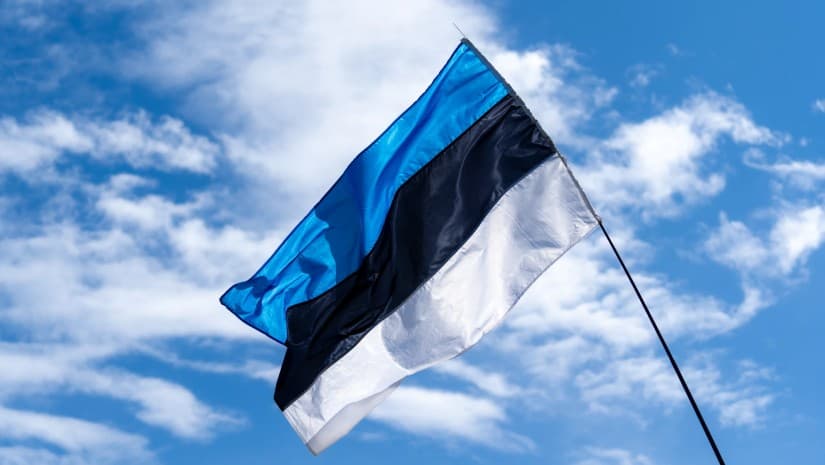 ესტონეთი ბავშვების ონლაინუსაფრთხოების ევროპულ კამპანიას უერთდება, თუმცა სოც. ქსელების აკრძალვა არ სურს