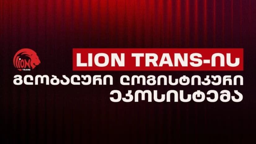 Lion Trans-ის გლობალური ლოგისტიკური ეკოსისტემა