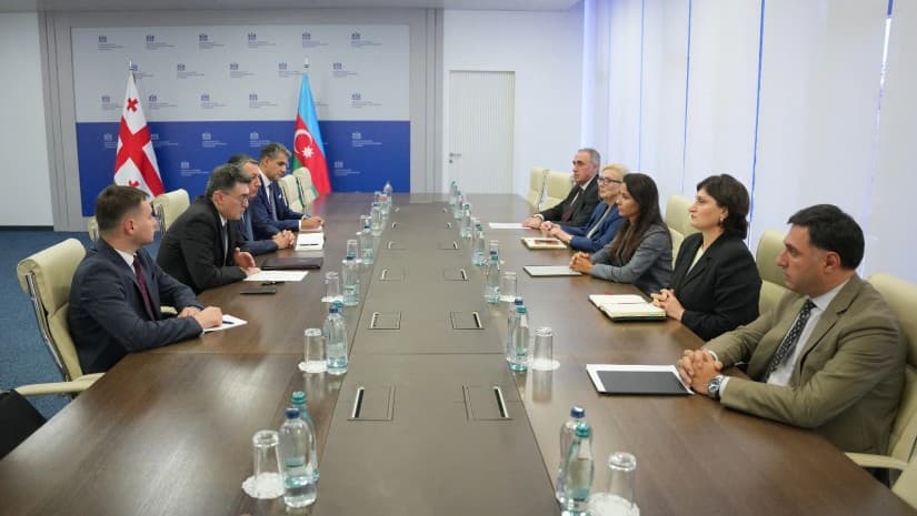 მარიამ ქვრივიშვილი აზერბაიჯანის ენერგეტიკის მინისტრის მოადგილეს შეხვდა - რა განიხილეს?