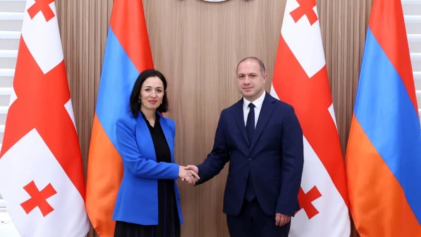 გივი მიქანაძე სომხეთის განათლების მინისტრს შეხვდა - რაზე ისაუბრეს