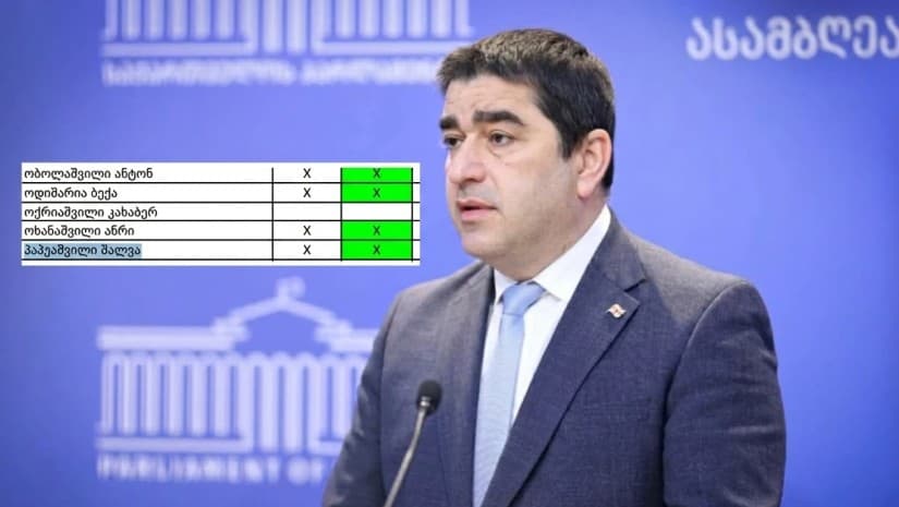84 დეპუტატი, რომელმაც ნანა ყეინიშვილის სების საბჭოში არჩევას მხარი დაუჭირა - მათ შორისაა პაპუაშვილიც