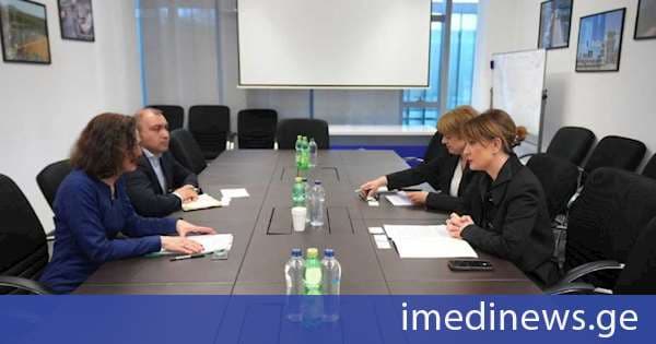 თამარ იოსელიანი დიდი ბრიტანეთის საელჩოს მისიის ხელმძღვანელის მოადგილეს შეხვდა
