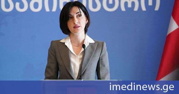 მაკა ბოჭორიშვილი ევროკავშირთან დიალოგის აღდგენაზე: საქართველოს არასდროს უთქვამს უარი ევროკავშირთან დიალოგზე და საქართველოს არანაირი წინაპირობები არ სჭირდება იმისათვის, რომ ესაუბროს ევროკავშირს