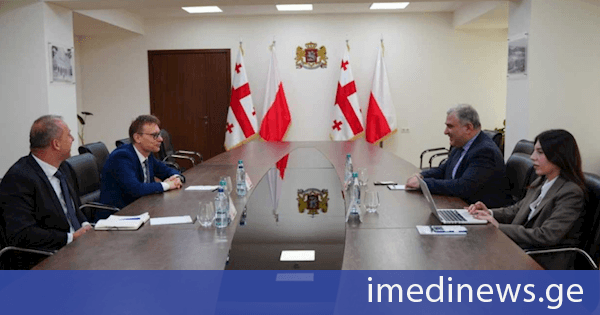 მიხეილ სარჯველაძე საქართველოში პოლონეთის საელჩოს მისიის ხელმძღვანელ არტურ გებალს შეხვდა