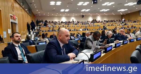 საქართველოს შინაგან საქმეთა მინისტრის მოადგილემ საერთაშორისო მიგრაციის მიმოხილვის მეორე ფორუმში მიიღო მონაწილეობა