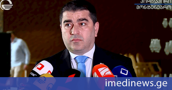 შალვა პაპუაშვილი: ევროპარლამენტის სახით ჩვენ გვყავს საბჭოთა კავშირის სახალხო დეპუტატთა ყრილობის რეინკარნაცია. ესთეტიკით, რასა იუკნევიჩიანეს რუსული აქცენტით, ყველაფრით