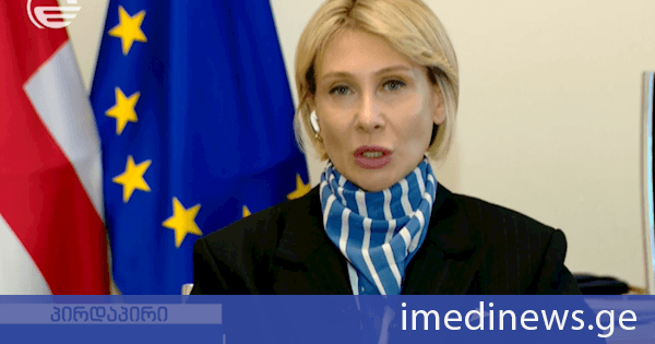 ნინო წილოსანი: როდესაც იუკნევიჩიენე მომხსენებლად აირჩიეს, მაშინვე იყო ცნობილი, რა პოლიტიკას გაატარებდა საქართველოსთან დაკავშირებით. ის აქტიური მოკავშირე და მეგობარი იყო სააკაშვილის და მისი საძმოსი. ეს კავშირები ახლაც გრძელდება