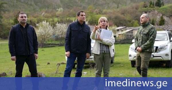 ბორჯომის მუნიციპალიტეტში, სოფელ დაბასთან ნახანძრალი ტყის აღდგენის პროექტი ხორციელდება