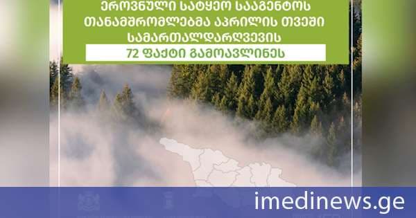 აპრილის თვეში ხე-ტყის უკანონო მოპოვებისა და ტრანსპორტირების 72 ფაქტია გამოვლენილი