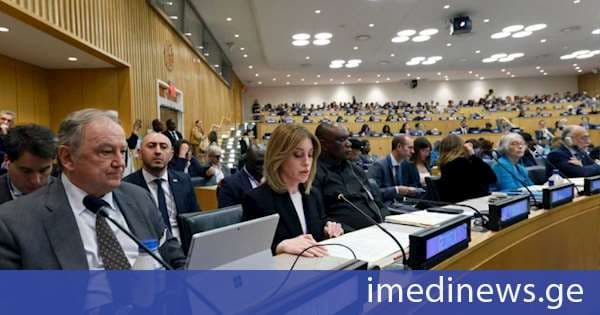 სახელმწიფო სერვისების განვითარების სააგენტოს თავმჯდომარემ საერთაშორისო ფორუმის დელეგატებს მიგრაციის მართვის ქართული მოდელი გააცნო