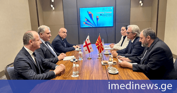მიხეილ სარჯველაძე ჩრდილოეთ მაკედონიის სოციალური პოლიტიკის, დემოგრაფიისა და ახალგაზრდობის მინისტრს შეხვდა