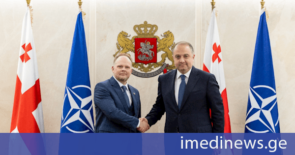 თავდაცვის მინისტრმა ნატოს გენერალური მდივნის სპეციალურ წარმომადგენელთან შეხვედრა გამართა