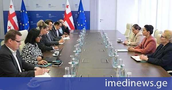 მარიამ ქვრივიშვილმა აზიის განვითარების ბანკთან გამართულ შეხვედრაზე ენერგეტიკის სექტორში თანამშრომლობის საკითხები განიხილა
