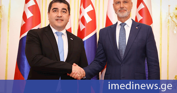 შალვა პაპუაშვილი სლოვაკეთის პარლამენტის თავმჯდომარეს შეხვდა
