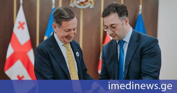 დავით სონღულაშვილი მოცვის საერთაშორისო ორგანიზაციის თავმჯდომარეს მარიო სტეტას შეხვდა