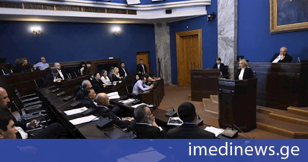 ნათია თურნავა: 2025 წელს სებ-ის მიერ გატარებული მონეტარული პოლიტიკის შედეგად ინფლაციური მოლოდინები სტაბილურად შენარჩუნდა