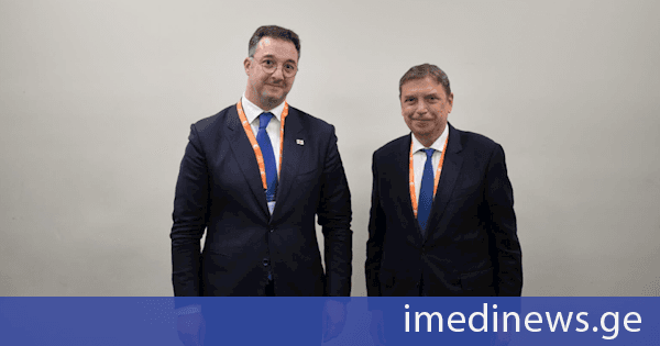დავით სონღულაშვილი ესპანეთის სოფლის მეურნეობის, მეთევზეობისა და სურსათის მინისტრს, ლუის პლანასპუჩადესს შეხვდა