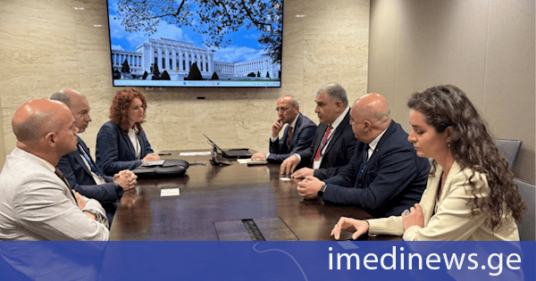 მიხეილ სარჯველაძე ჯანმრთელობის მსოფლიო ასამბლეის ფარგლებში ბელგიის ფედერალური ჯანდაცვის სამინისტროს გენერალურ მდივანსა და პოლონეთის ჯანდაცვის მინისტრს შეხვდა