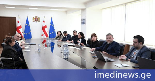 ჯანდაცვის მინისტრის მოადგილე ირინე წაქაძე მსოფლიო ბანკის წარმომადგენელს - რობერტო კლაუდიო სორმანის შეხვდა