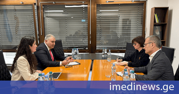 მიხეილ სარჯველაძე გლობალური ფონდის წარმომადგენლებს შეხვდა