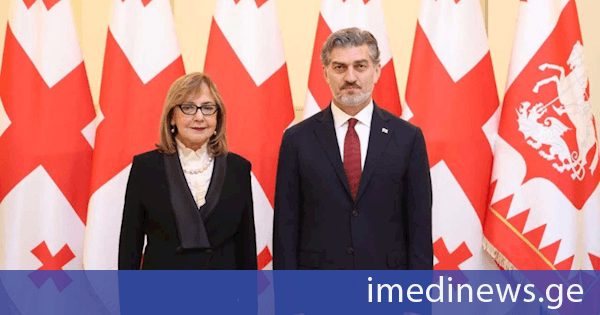 საქართველოს პრეზიდენტს 8 ქვეყნის რეზიდენტმა და არარეზიდენტმა ელჩებმა რწმუნებათა სიგელები გადასცეს