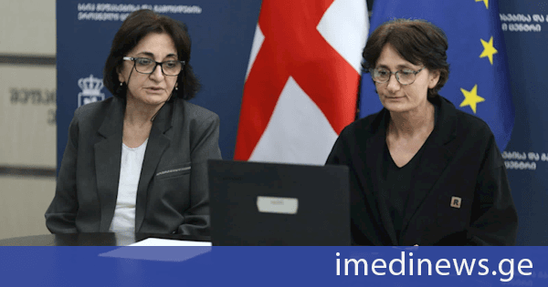 მასწავლებლის გამოცდებზე დარეგისტრირებული აპლიკანტებისათვის პირველი ონლაინ საინფორმაციო შეხვედრა ჩატარდა