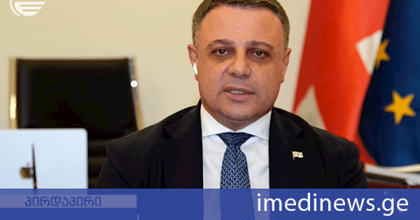 ალუდა ღუდუშაური პეტერ ფიშერზე: მან არა მარტო ჩვენს ქვეყნებს შორის ურთიერთობას მიაყენა ჩრდილი, არამედ იმ წესებს, რომელიც არსებობს დიპლომატიაში, ხაზი გადაუსვა და თვითონ ჩადგა რადიკალების ფერხულში